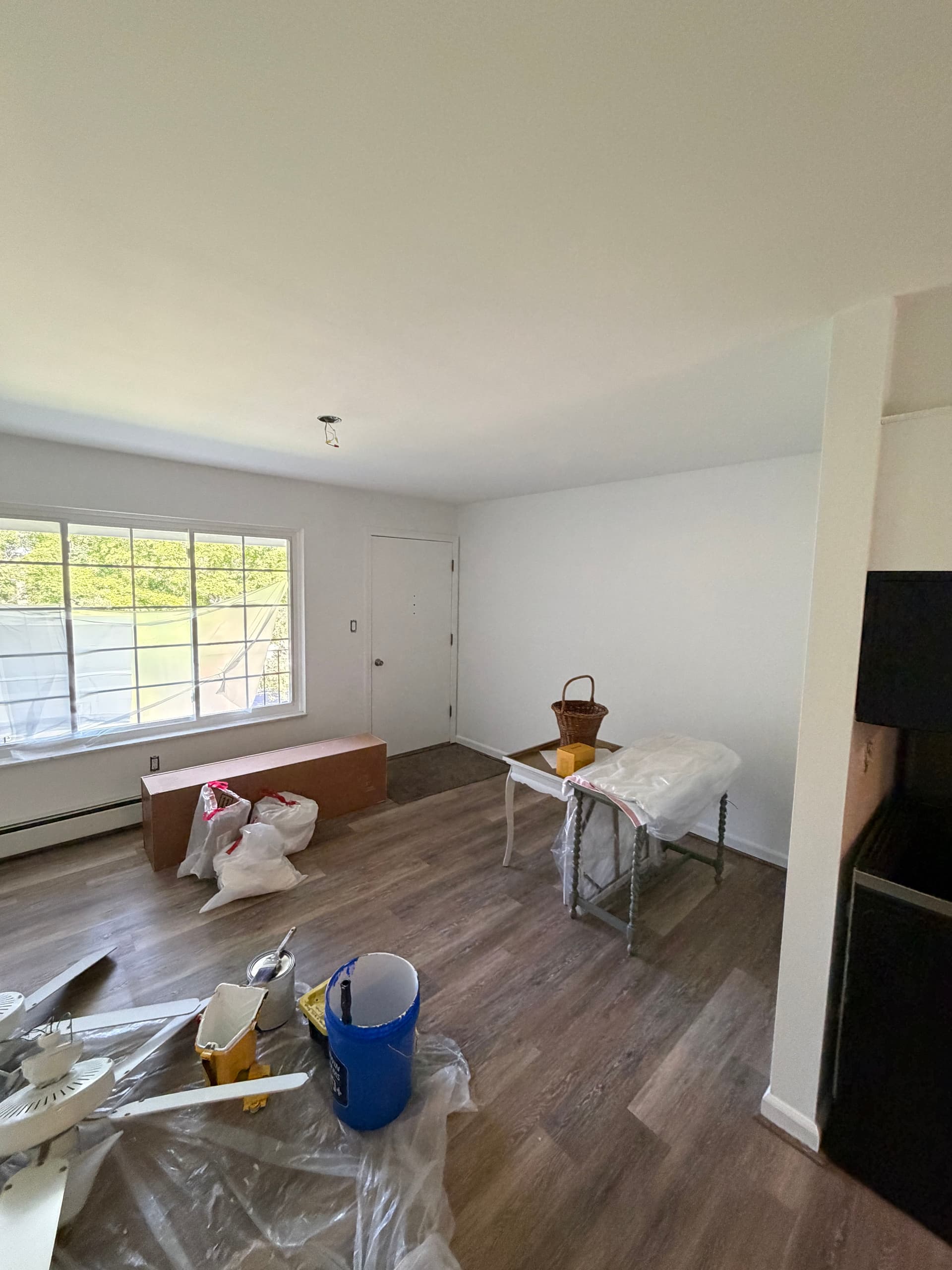 Gallery photos for Complete Interior Apartment Repaint Done Right in Romeo: Image #7