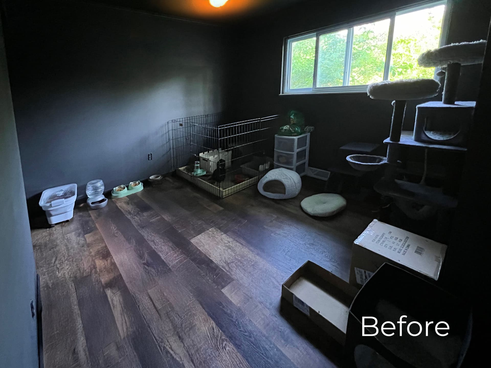 Gallery photos for Vibrant Home Interior Reimagining: Image #7