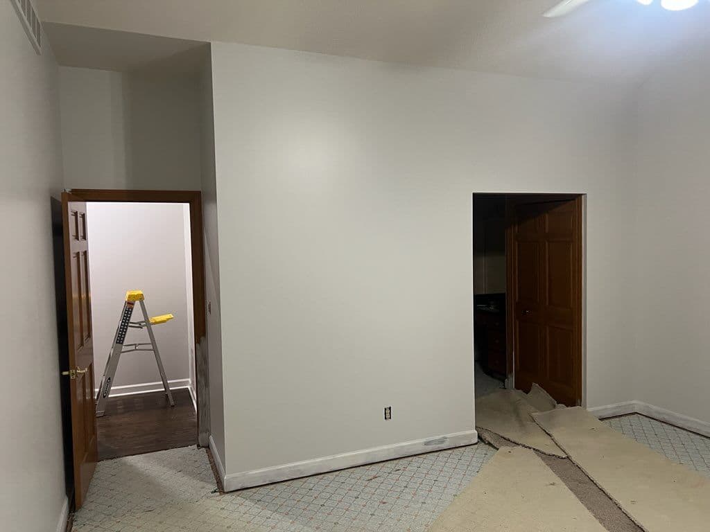 Project Transforming Romeos Interior with Satin Finish image