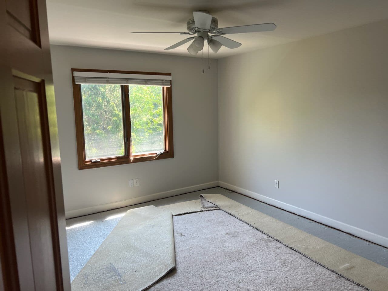 Seashell Gray Room Transformation with Expert Painting image