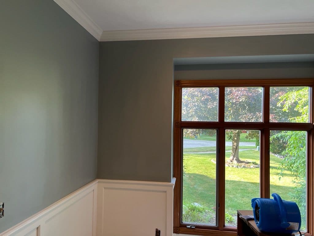 Transformative Gray Interior with Stunning Crown Molding image