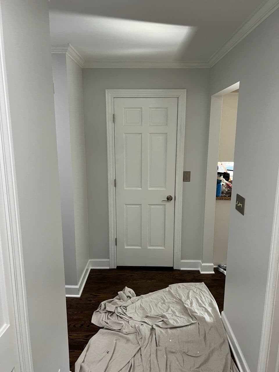 Gallery photos for Elevate Your Hallway with Elegant Light Gray Walls: Image #2