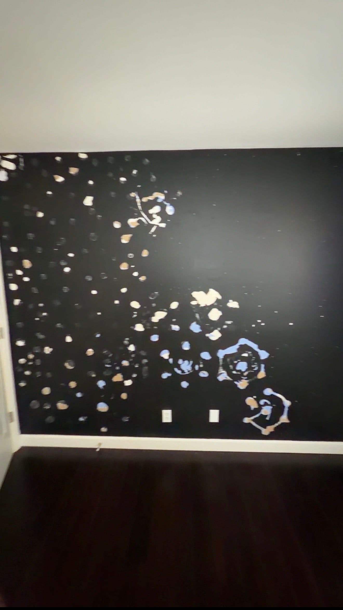 Bold Mural Wall Covered and Sale-Ready With Paneling image